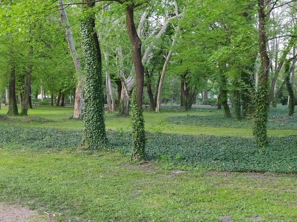 ケストヘイNelli Apartmanアパートメント エクステリア 写真
